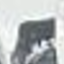 black__transparent