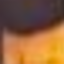 leopard__orange