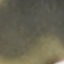 black__green
